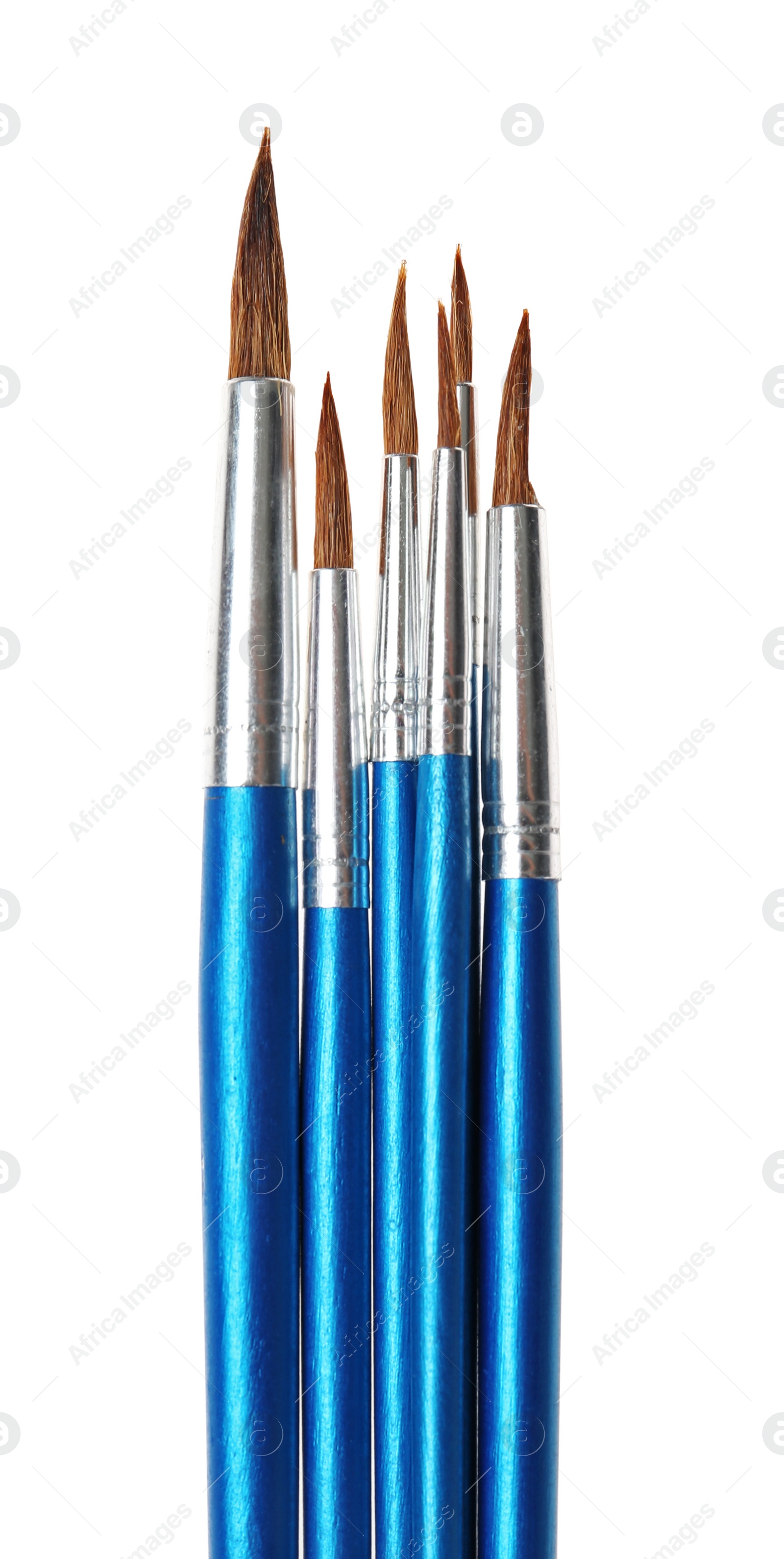 Photo of Set of different paint brushes on white background