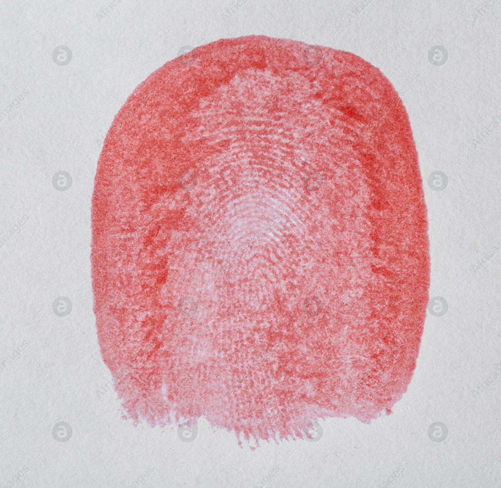 Photo of Red fingerprint on white background. Friction ridge pattern