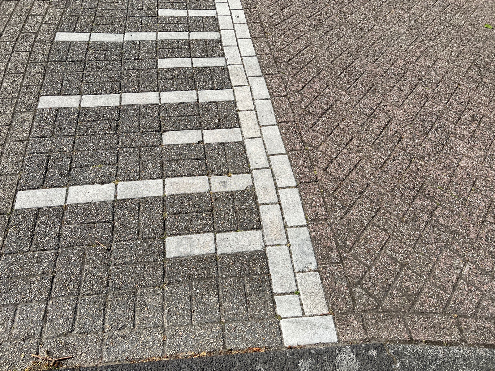 Photo of City street with speed bump on sunny day