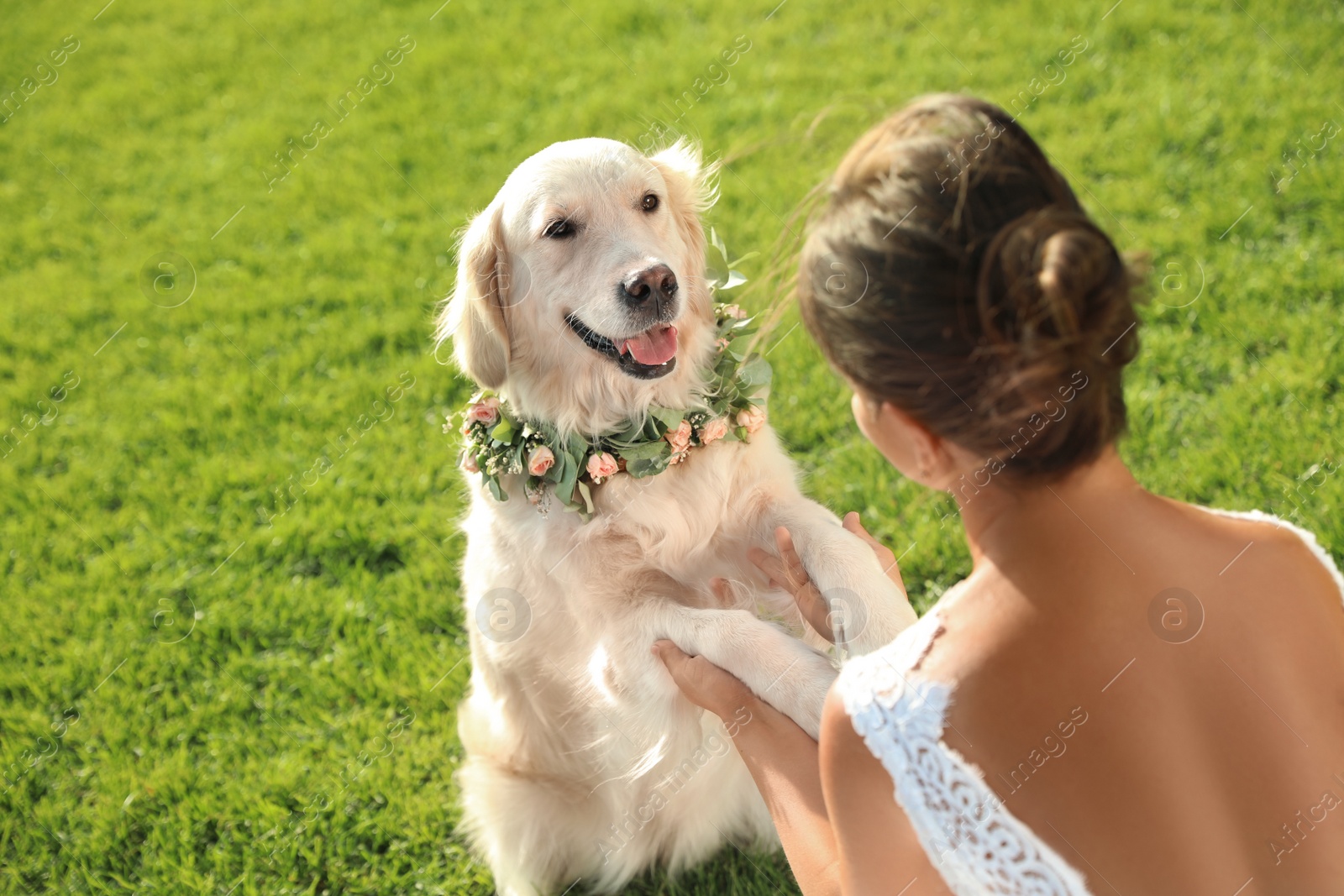 Photo of Bride and adorable Golden Retriever wearing wreath made of beautiful flowers on green grass outdoors