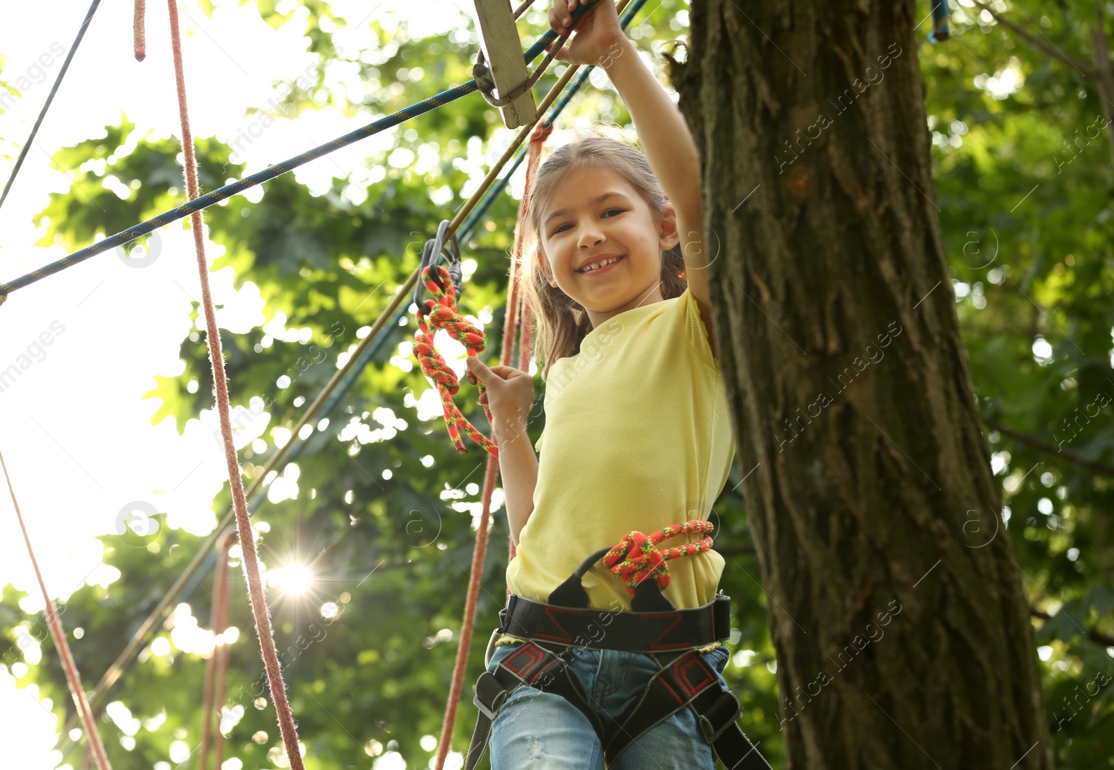 Photo of Little girl climbing in adventure park. Summer camp