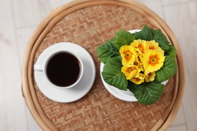 Photo of Beautiful primrose plant in flower pot and cup of coffee on wooden table, top view