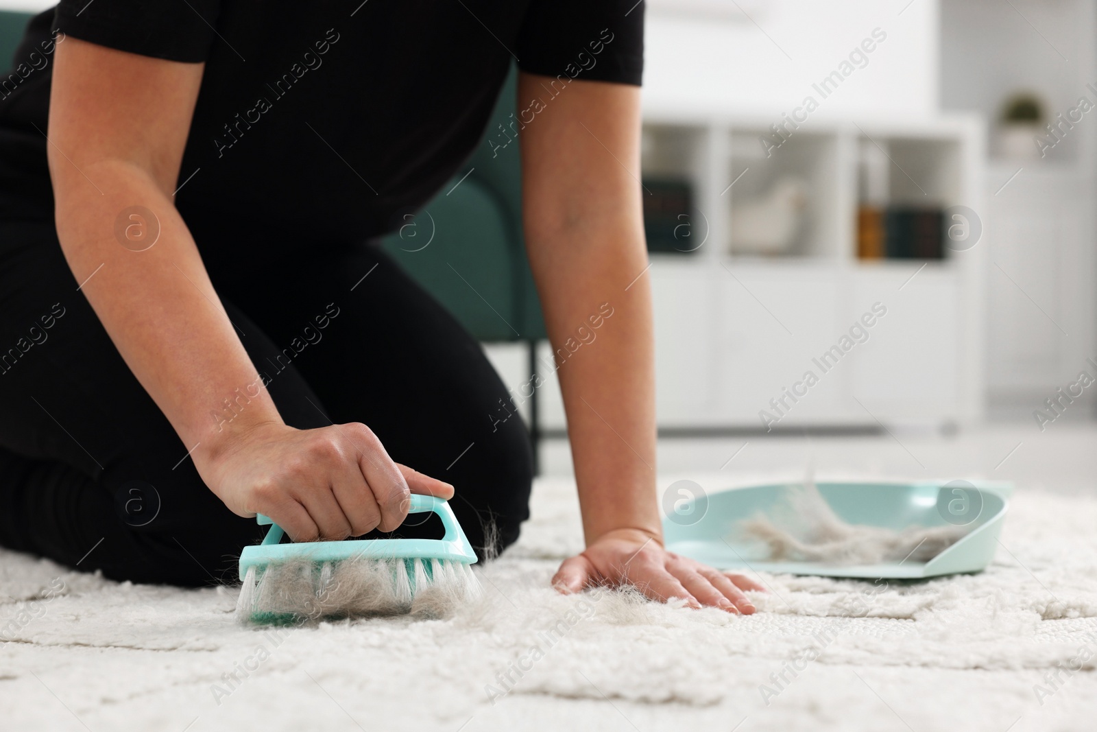 Photo of Woman with brush removing pet hair from carpet at home, closeup. Space for text