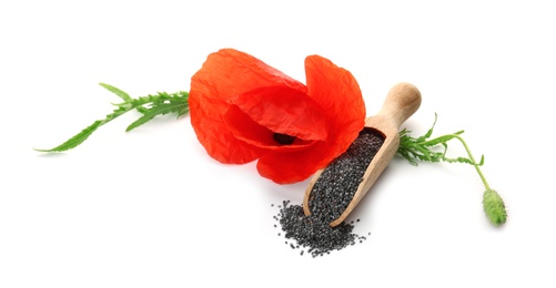 Photo of Composition with poppy seeds and flower on white background