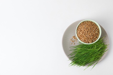 Photo of Ceramic dishware with wheat seeds and grass on white background, top view