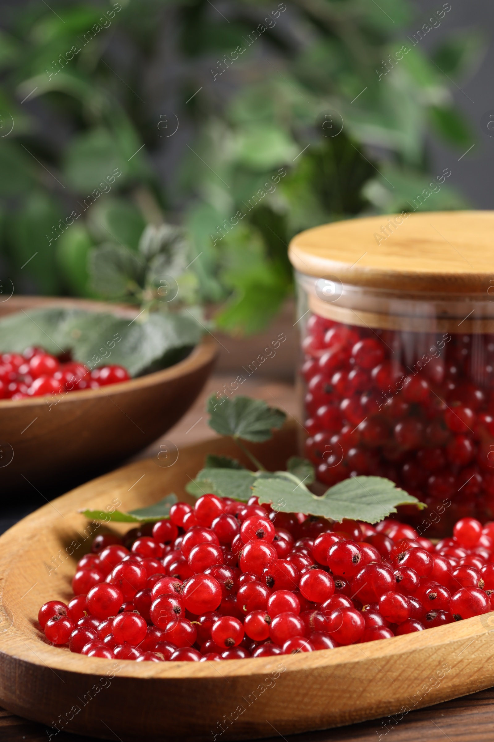 Photo of Ripe red currants and leaves on wooden table, closeup. Space for text
