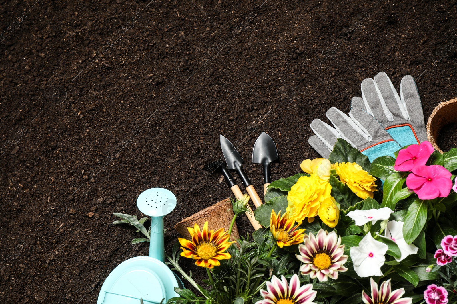 Photo of Flat lay composition with gardening tools and flowers on soil, space for text