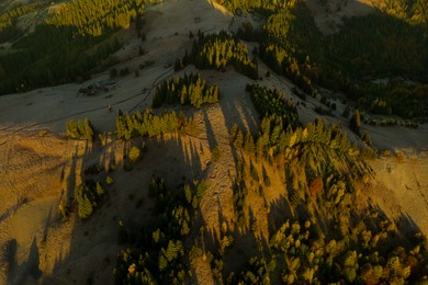 Image of Beautiful landscape with forest in mountains on sunny day. Drone photography