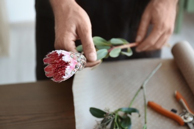 Male florist holding beautiful flower, closeup