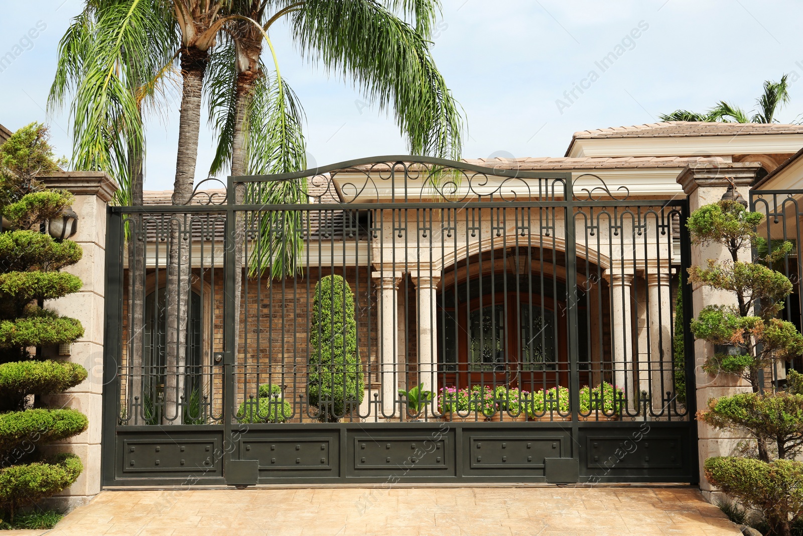 Photo of Black metal gates near building and palm tree