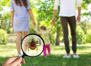 Family walking outdoors and don't even suspect about hidden danger in green grass. Woman showing tick with magnifying glass, selective focus