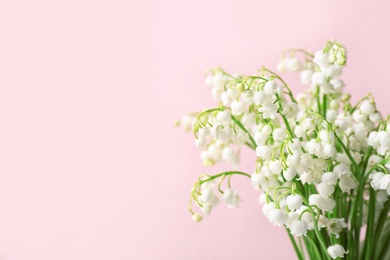 Photo of Beautiful lily of the valley flowers on color background, space for text