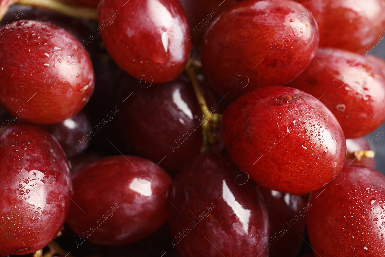 Photo of Bunch of red fresh ripe juicy grapes as background. Closeup view