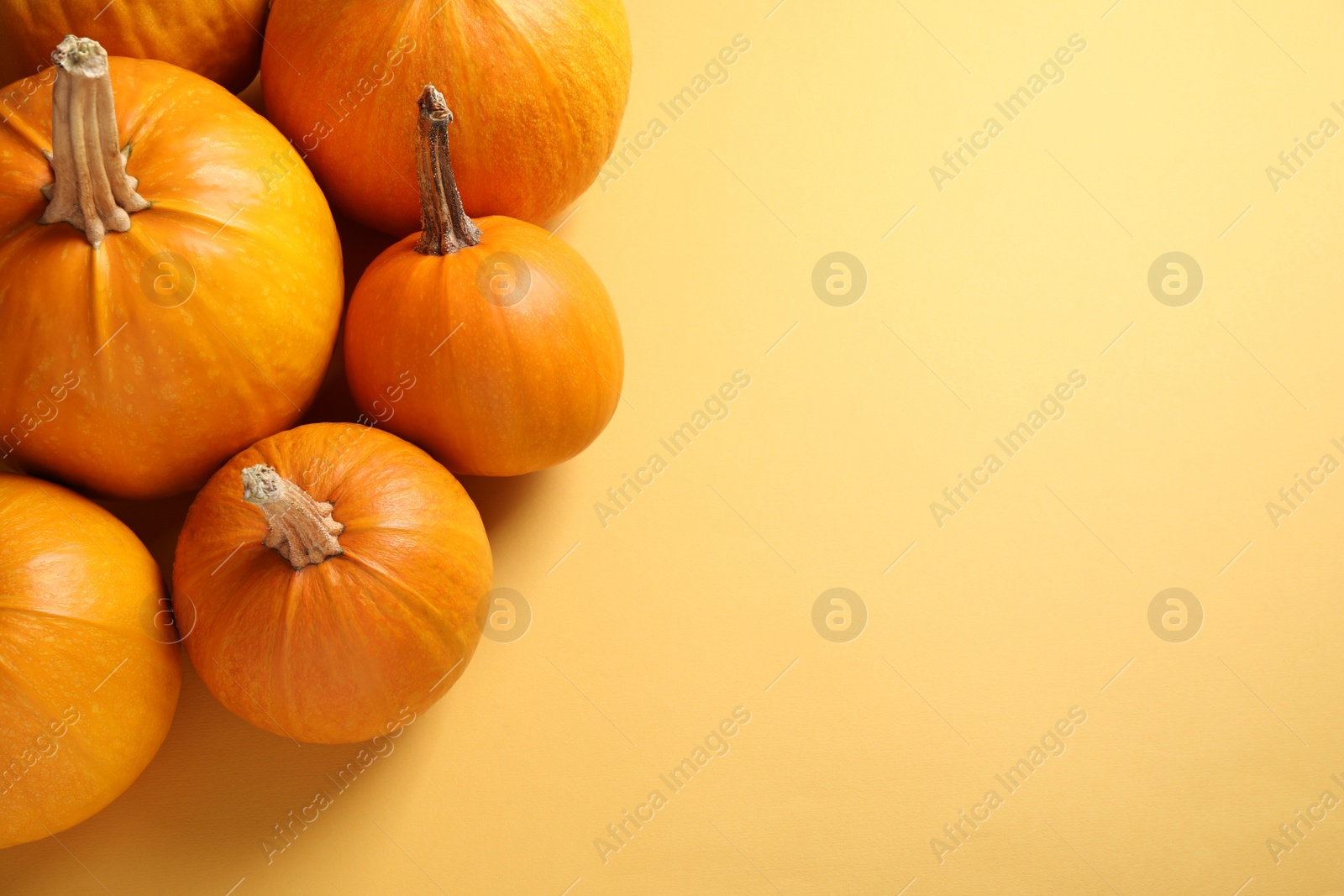 Photo of Fresh ripe pumpkins on yellow background, flat lay with space for text. Holiday decoration