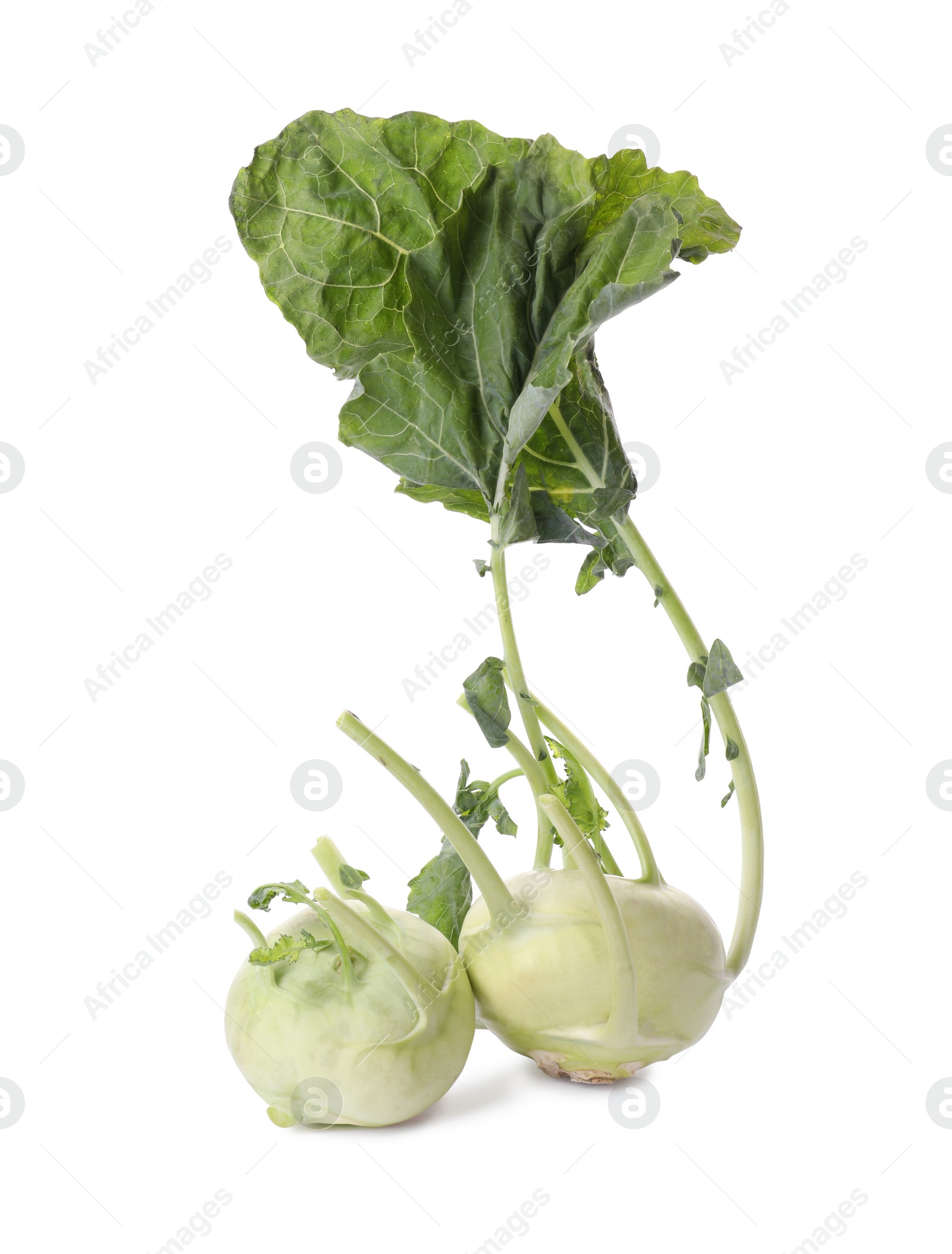 Photo of Whole ripe kohlrabies with leaves on white background