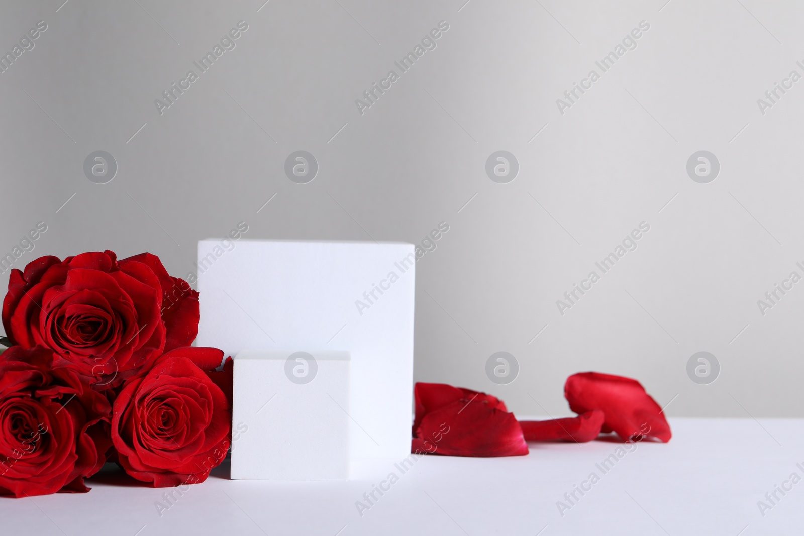 Photo of Stylish presentation for product. Cubes, beautiful roses and petals on light background, space for text