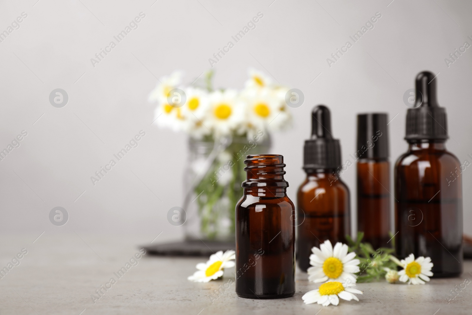 Photo of Bottles of chamomile essential oil and flowers on grey table, space for text