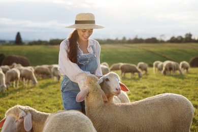 Smiling woman feeding sheep on pasture at farm