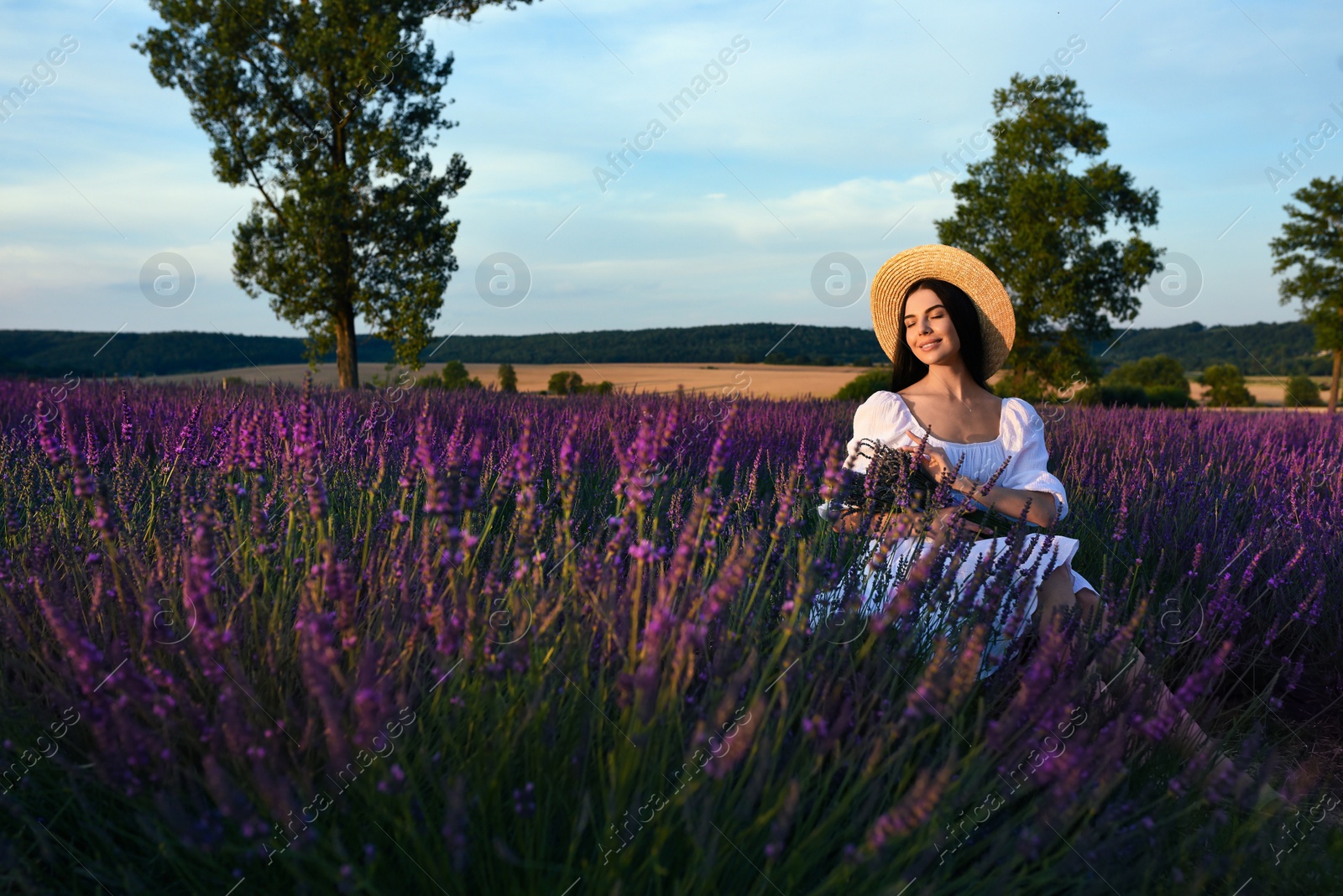 Photo of Beautiful young woman sitting in lavender field at sunset