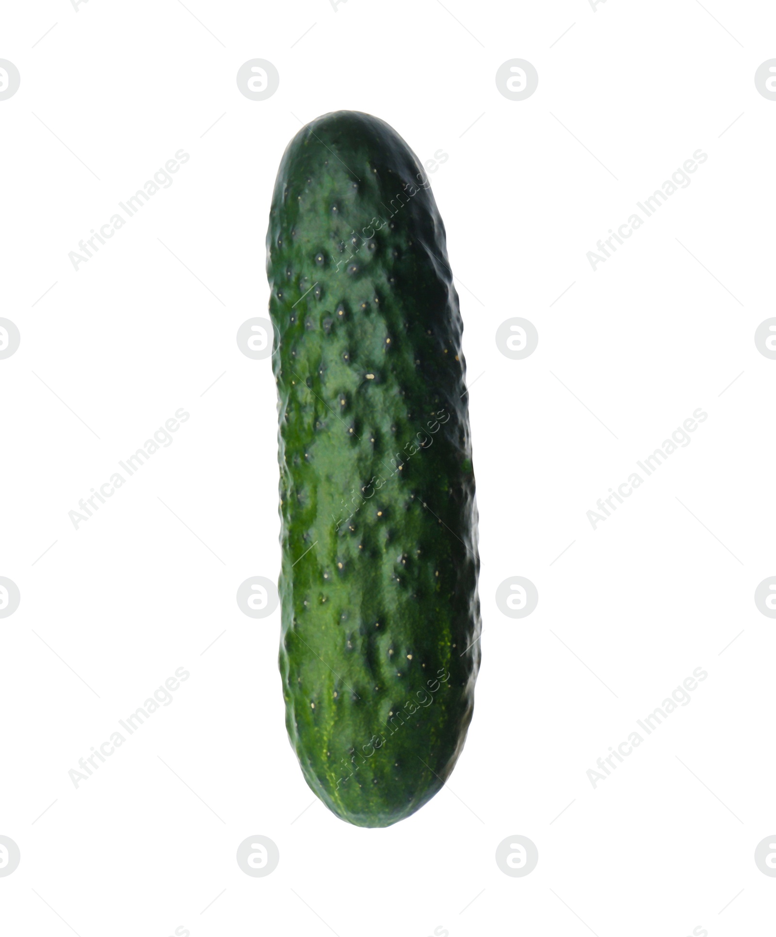 Photo of Fresh ripe green cucumber isolated on white