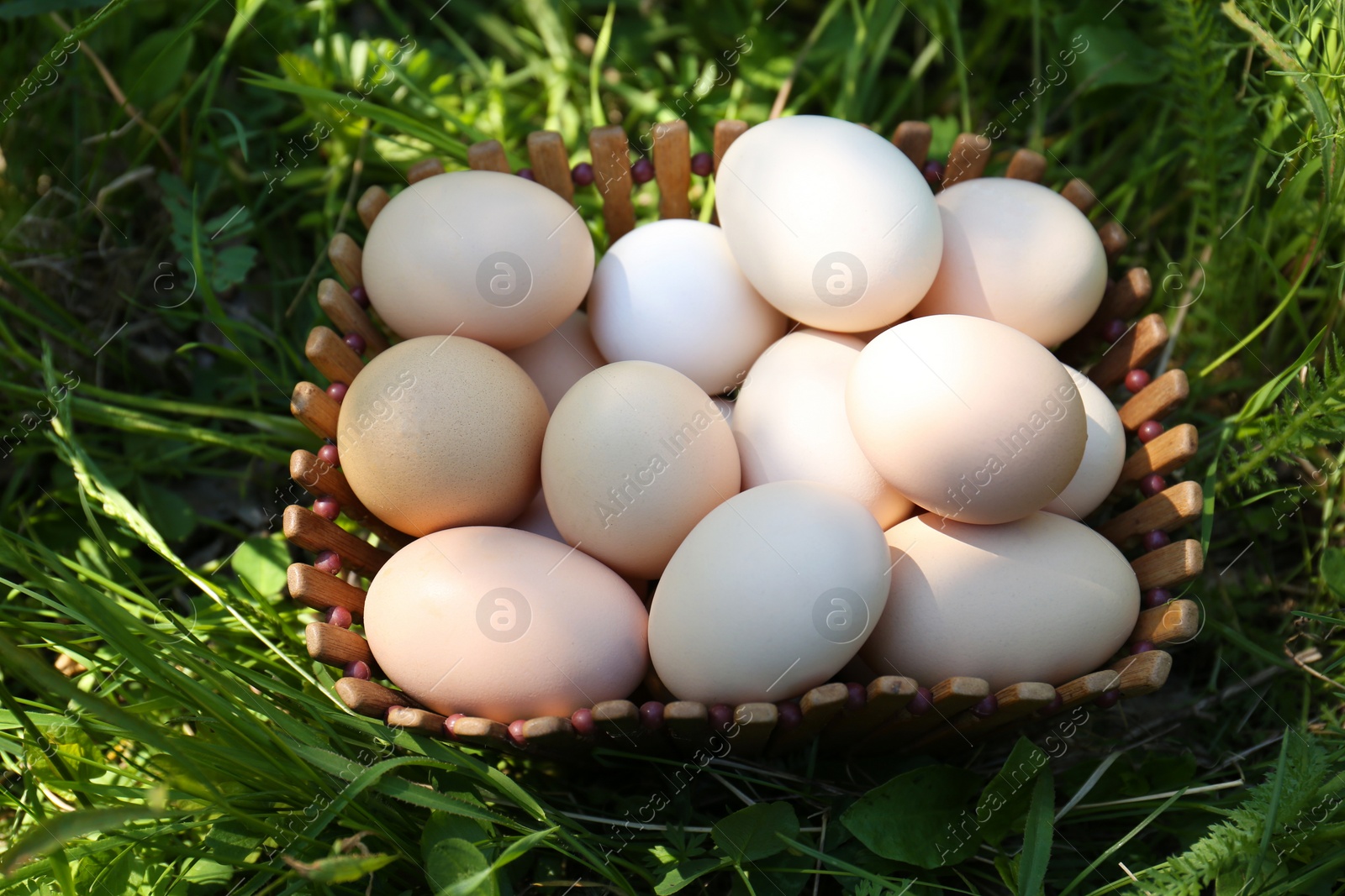 Photo of Fresh raw eggs in wooden basket on green grass, above view