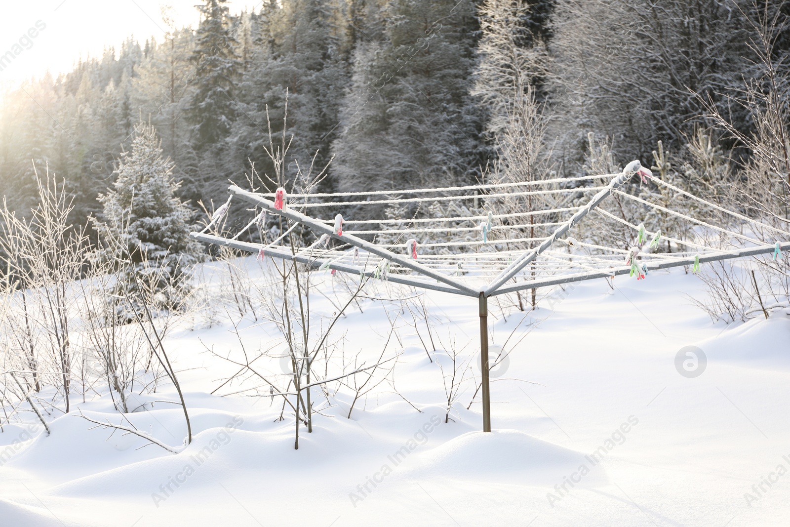 Photo of Outdoor clothes dryer and beautiful forest on winter day