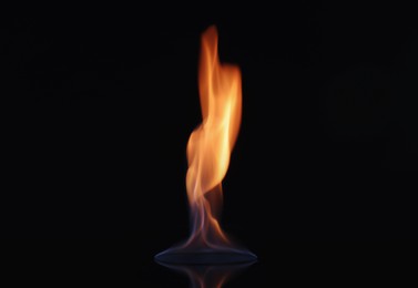 Beautiful view of flaming vodka on black background