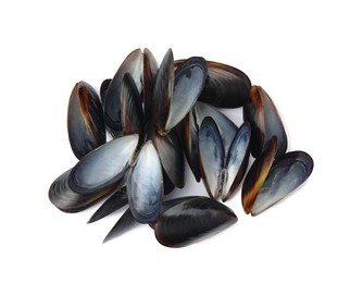 Photo of Open empty mussel shells on white background, top view