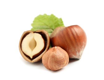 Tasty organic hazelnuts and leaf on white background