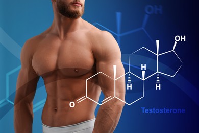 Image of Muscular man and structural formula of testosterone on blue background, closeup