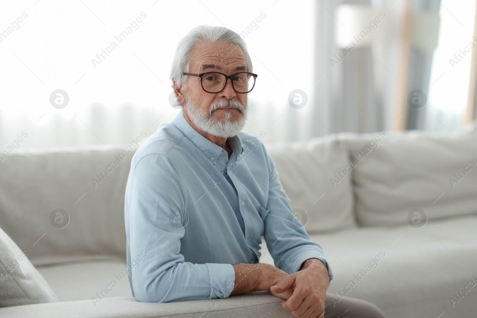 Photo of Portrait of grandpa with stylish glasses on sofa indoors