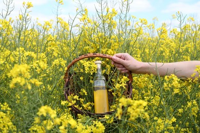 Woman holding wicker basket with rapeseed oil in bottle and flowers outdoors, closeup