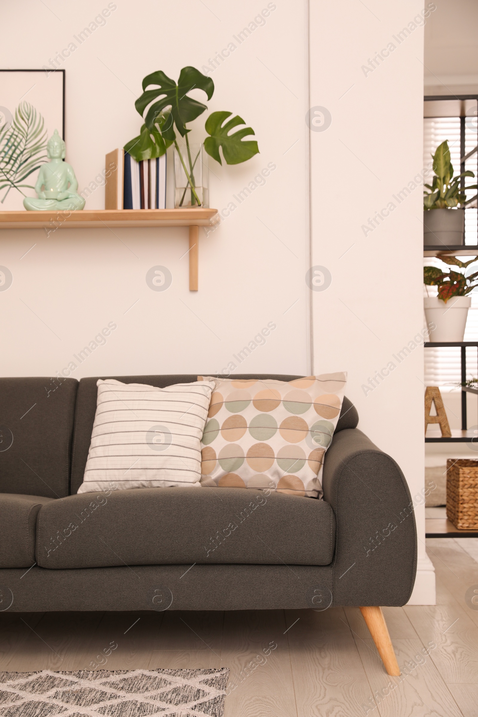 Photo of Modern living room interior with comfortable sofa and beautiful plants