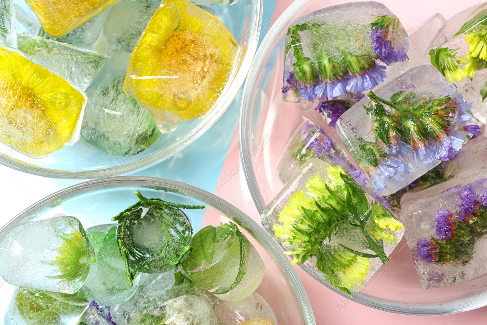 Photo of Bowls of ice cubes with flowers on color background, flat lay