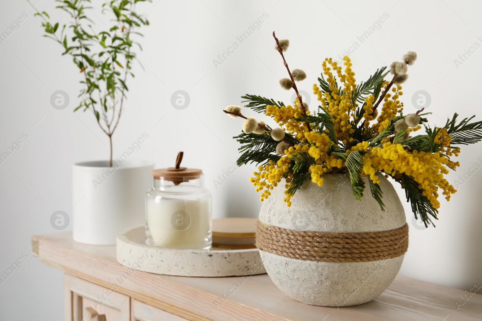 Photo of Beautiful mimosa flowers in vase on wooden table