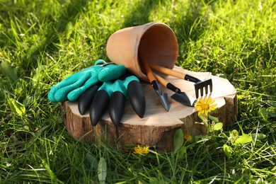 Photo of Pair of gloves and pot with gardening tools on wooden stump among grass outdoors