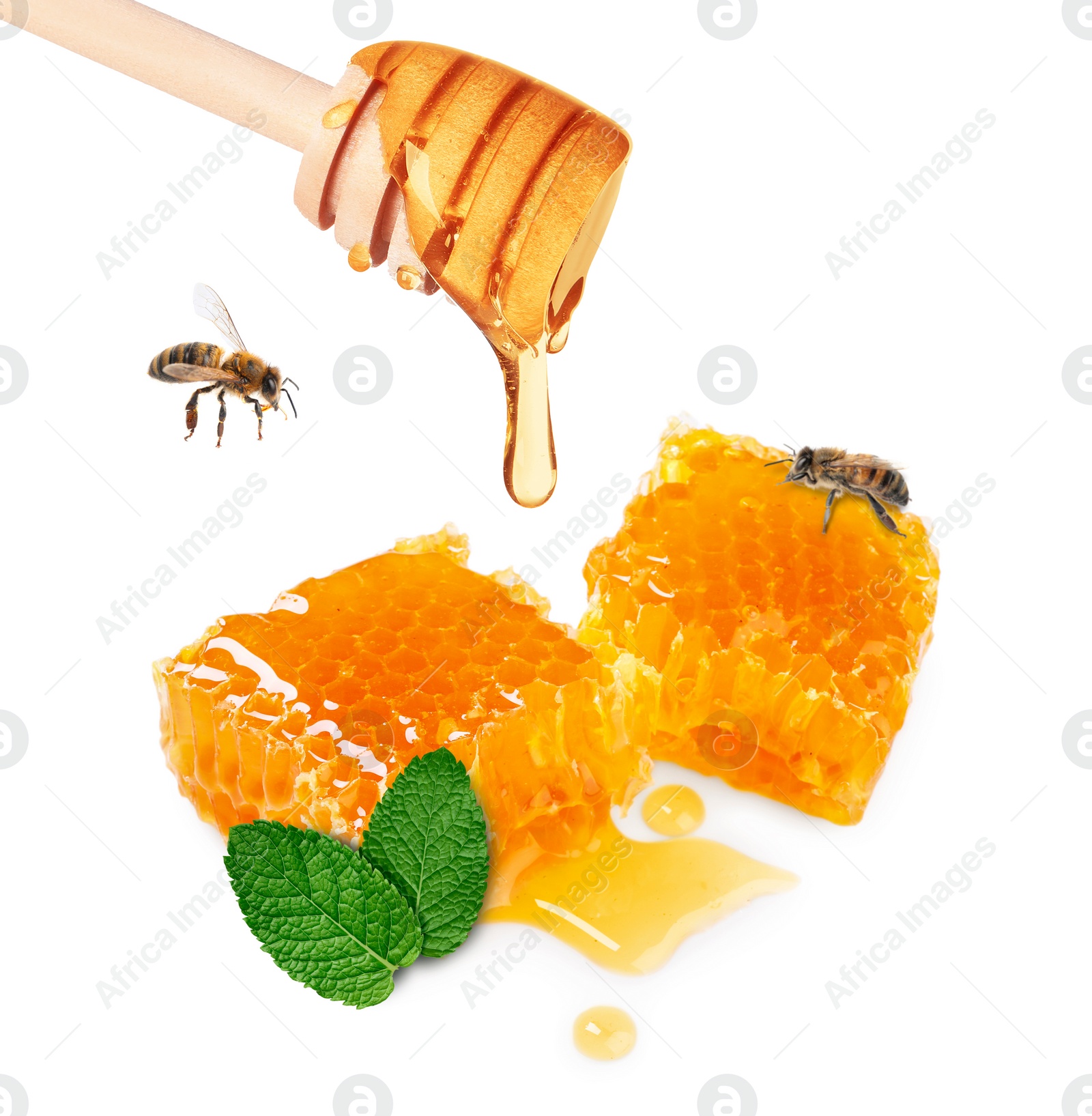 Image of Dripping tasty honey from dipper onto honeycombs, mint and bees on white background