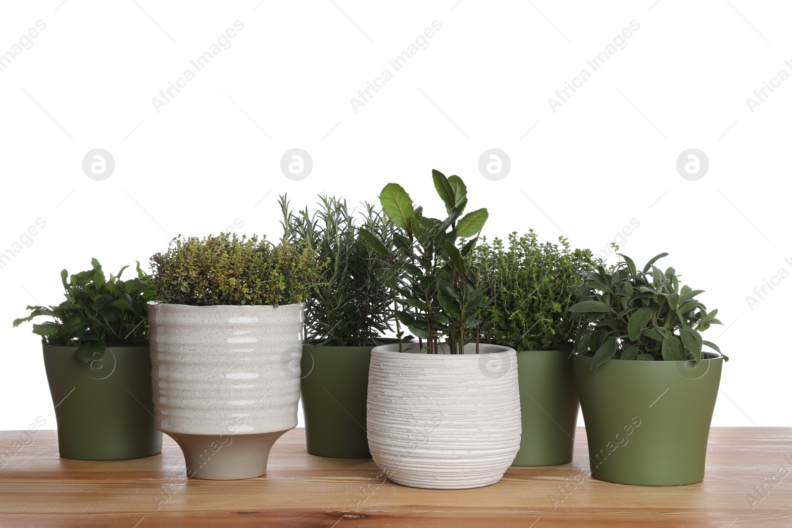 Photo of Pots with thyme, bay, sage, mint and rosemary on wooden table against white background