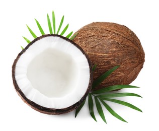 Fresh ripe coconuts with green leaves on white background