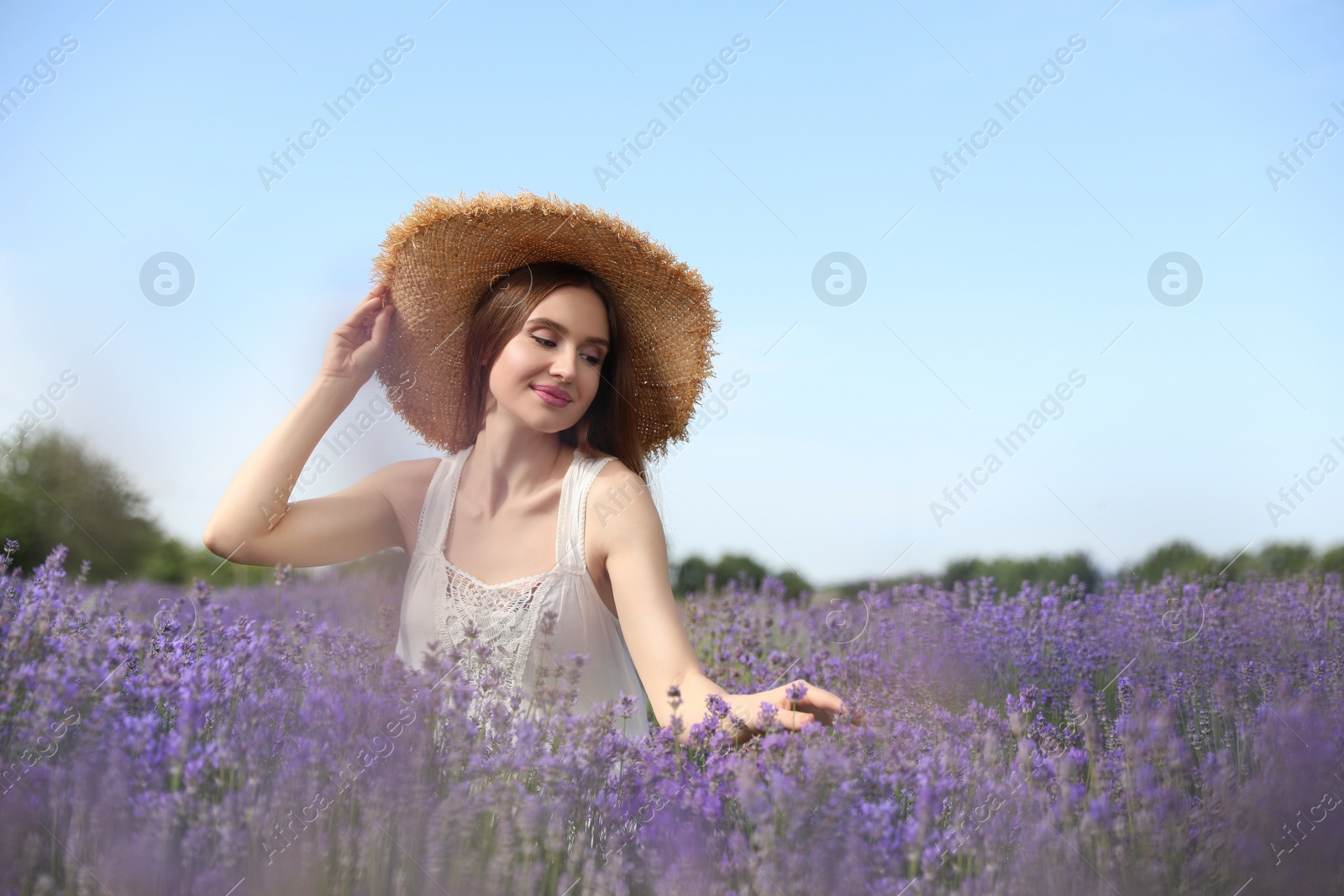 Photo of Young woman in lavender field on summer day