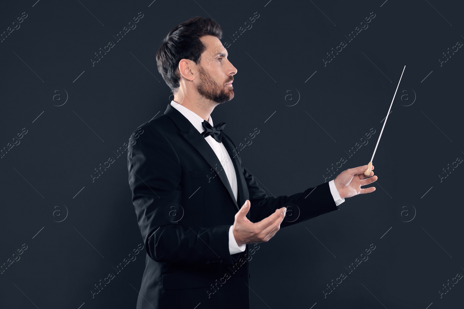 Photo of Professional conductor with baton on black background