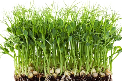 Photo of Fresh organic microgreen seeds on white background, closeup