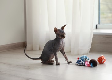 Photo of Adorable Sphynx kitten playing with toys on floor at home. Baby animal