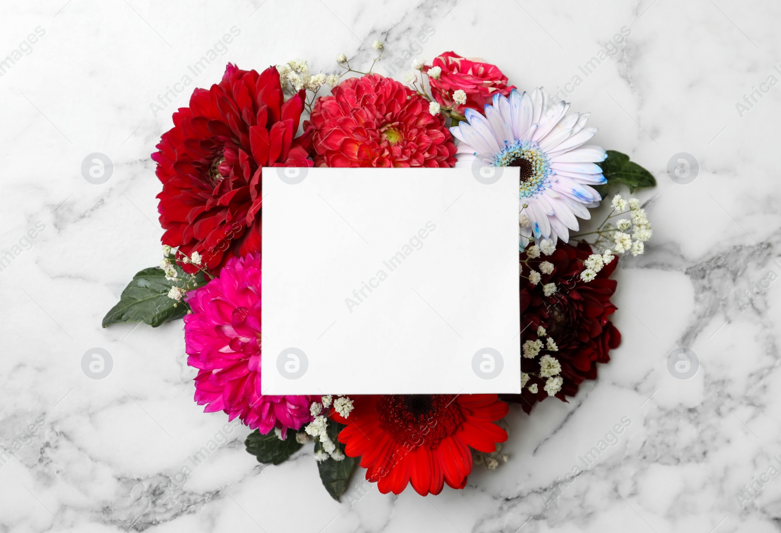 Photo of Flat lay composition with beautiful dahlia flowers and blank card on white marble background, flat lay. Space for text