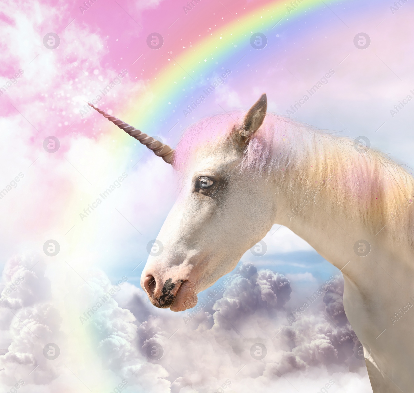 Image of Magic unicorn in beautiful sky with rainbow and fluffy clouds. Fantasy world