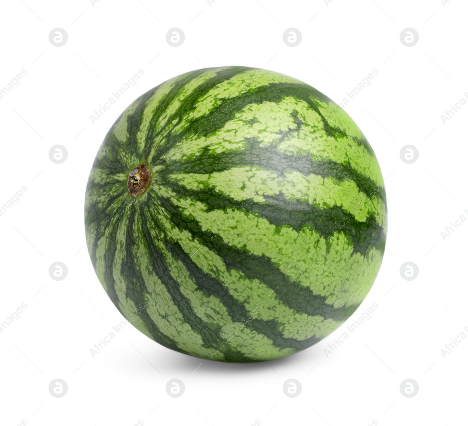 Photo of One whole ripe watermelon isolated on white