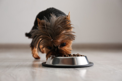 Cute Yorkshire terrier dog near feeding bowl indoors