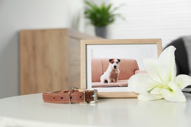 Photo of Frame with picture of dog, collar and lily flower on white table indoors, space for text. Pet funeral