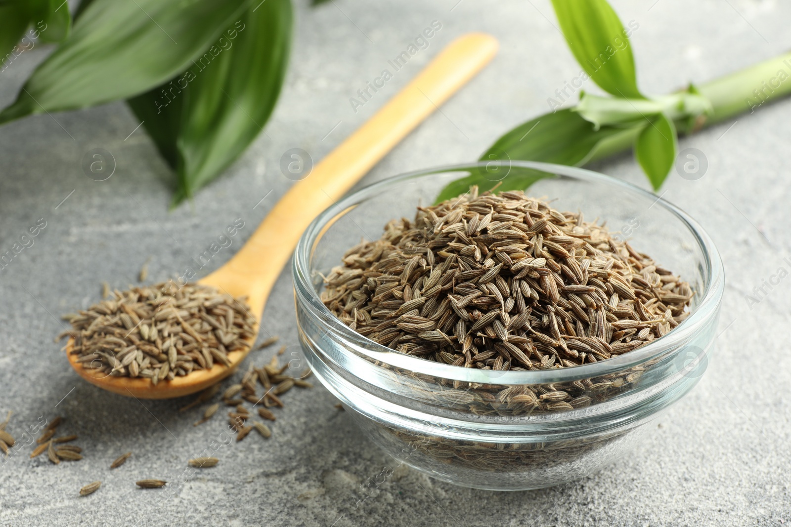 Photo of Bowl of caraway seeds, spoon and green leaves on grey table, closeup