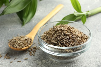 Bowl of caraway seeds, spoon and green leaves on grey table, closeup